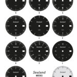 Sealand Custom